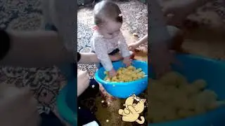 Кукурузные палочки🤣