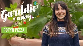 Garddio a Mwy | Potyn Pizza