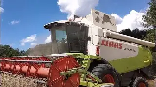 комбайн клас лексіон 560 в ро боті