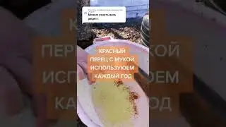 Подкормка пчел! 