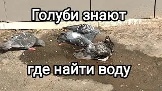 Жаркое лето