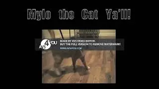 (RQ) Shortest Video on YouTube Part 9 Effects (Inspired By SF1 Ident 2005 Effects)