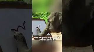 This young elephant is simply a genius. 