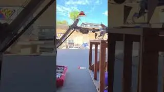 Meet the Automatic Cone Control Robot 