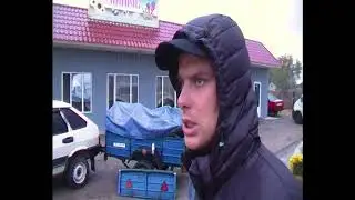 Николаевские голуби. Ярмарка Великие Копани 28.10.2017. (2)ч.