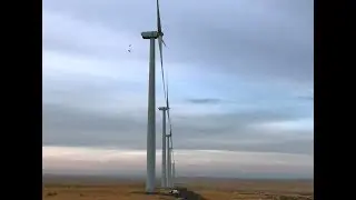 BASE Jumping with the Apex BASE FOX, FLiK, Lobo, & Lynx Canopies