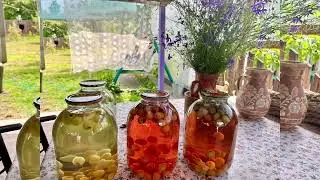 Сільське життя, городина в червні