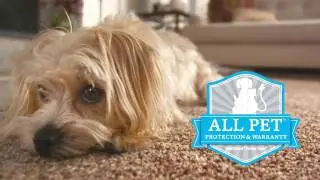 SmartStrand Forever Clean Now Features All Pet Protection an