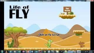 life of Fly