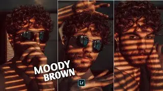 Lightroom Tutorial | Brown Filter Editing Tutorial In Lightroom 2023/Great Editor #lightroom #shorts