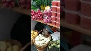 Pickled vegetables in Russia #shorts #russia