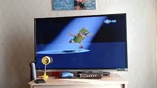 Заставка Turtle in Motion Studios (2017)