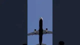 Eva Air A321-211 Gear up