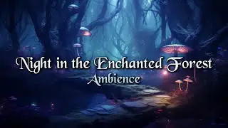 Night in the Enchanted Forest | 1 Hour of Magical Nature Ambience for D&D and RPG