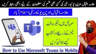 How to use micro soft team for attend Hiou workshop spring 2024