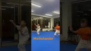 平安二段🦊　#空手形 #空手 #karate #kawaii #子供 #格闘技