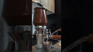 FEAR La Peppina light roast pull