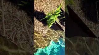 Minecraft RTX on || Tik-tok #1