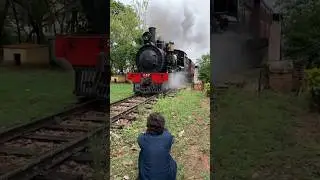 Fotografia com celular na PRÁTICA!! 