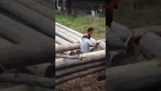 Мужики строят баню в лесу
