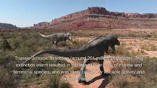 5 Mass Extinctions, and We're Looking at the Sixth in Earth