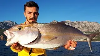 DENİZDE DEV BALIK AVLADIM !!