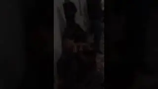 Gaziantep Davul Zurna