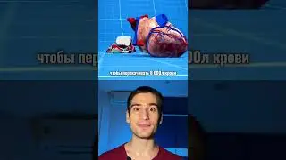 СКОЛЬКО ВЕСИТ СЕРДЦЕ КИТА? #биология #егэ #факты #наука #природа #животные