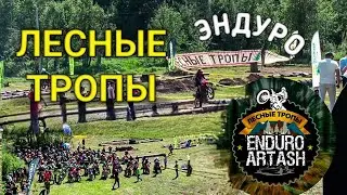 Эндуро PRO-ЛОГ "Лесные тропы" д.Два поля Арташ.