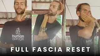 10 Fundamental Fascia Moves + Organ Reset
