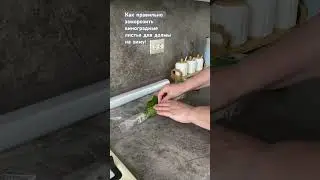 19 мая 2024 г.