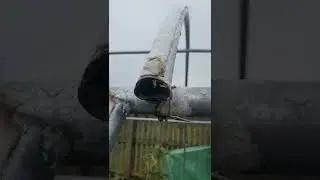 Polytunnel pole failure; snapped hoop repair.