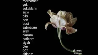 Sizin gibi ben dost satmadım