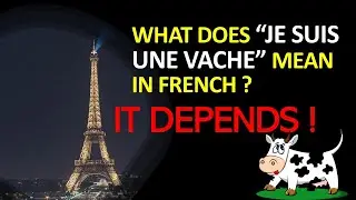 What do the French verbs "être" and "suivre" have in common?