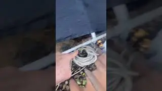 Do THIS to RID RATS inside your home!! 🏡🐀🐀🐀🐀🐀