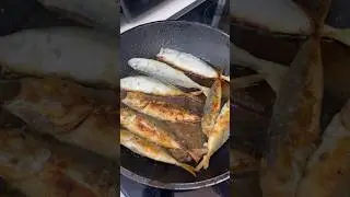 НА ОБЕД СКУМБРИЯ! #сочи #жизнь #жизньпрекрасна #море #пыбалка #вкусныерецепты #еда #едаялюблютебя