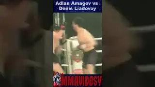 TKO Punches ProFC 13 - Adlan Amagov vs Denis Liadovoy #mma #ProFC #TKO #knocked