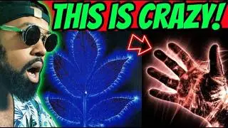 Disturbing TikTok's on YouTube: Creepiest Discoveries #Tiktok #bannedtiktok