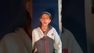 Von der Idee zum Bild – Schwäne am Teich“