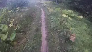 Битца трейлы (часть 1)