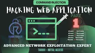 12 - Web4Shell - OS Command Injection [The basics]