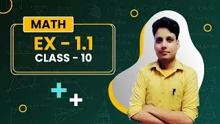 Math Class X || Chapter - 1 || Examples & Exercise 1.1 (Complete)