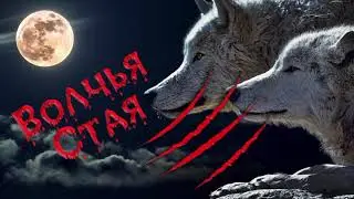 Уникальный боец по имени Волк. #волк #природа #хищник #животные