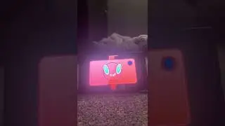Pokemon sword part 4