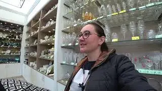 Леруа Мерлен и Сангрин сравниваем цены на растения !!!!