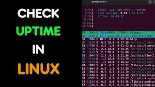 How  to check uptime on Linux