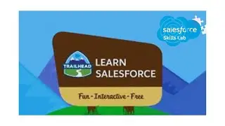 Set Up Your Org | How to Create a Custom Object and Custom Fields in Salesforce | Challenge