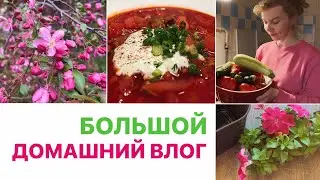 Уютный влог - БУДНИ МАМЫ 🌷 Меню на выходные, домашние дела, майская Москва, закупка овощей 🍎🍅🍆🥒