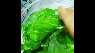 Higienização das hortaliças 🥬     (frutas e legumes também) 