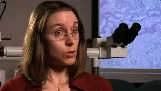 University of North Carolina, Dept. of Pathology and Laboratory Medicine (DPLM)